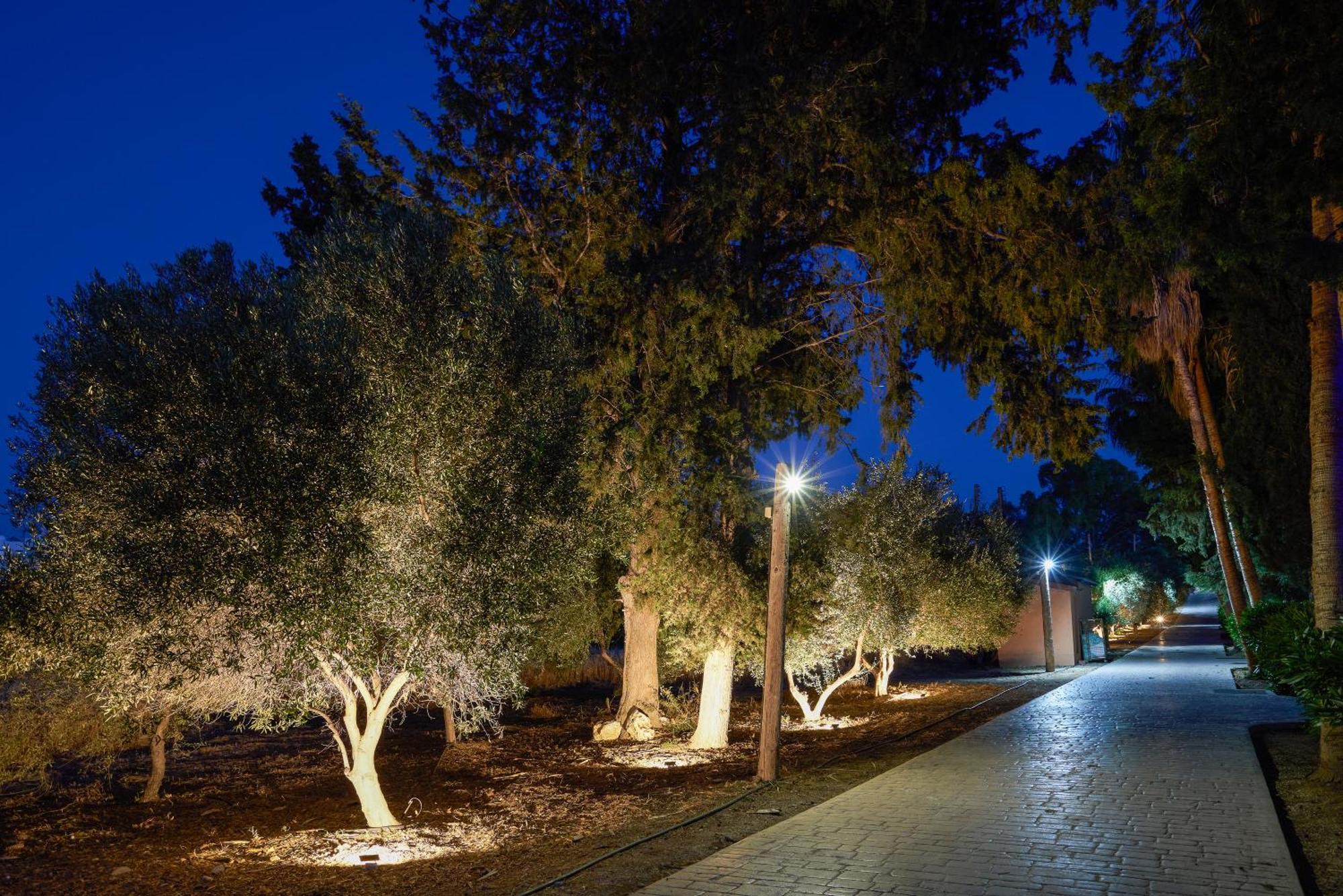 The Olympians Villas Polis Exterior foto